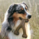 Sunday Chew Bone