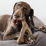 Sunday Chew Bone