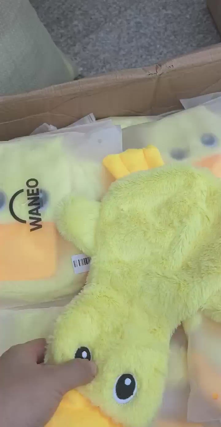 Sunny Duck Plush play video