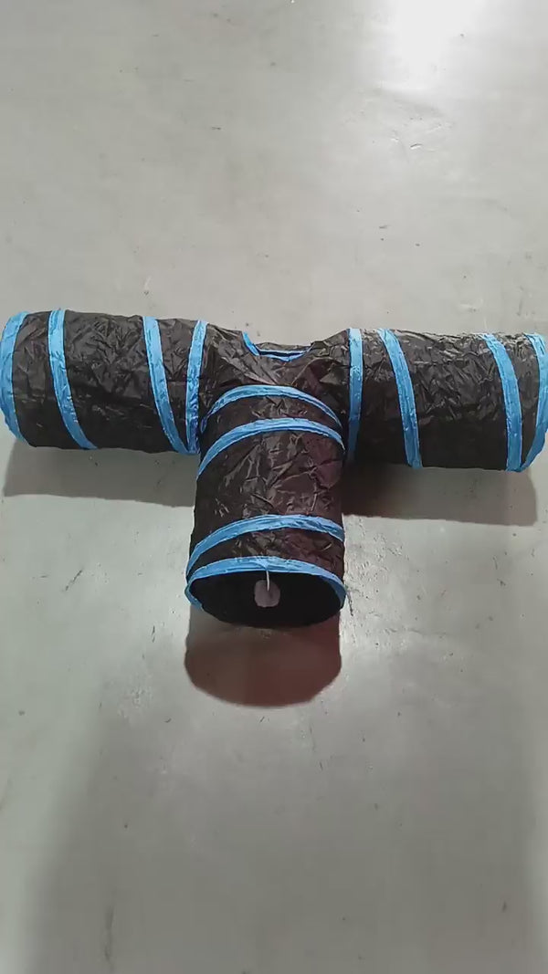 Peekaboo Cat Tunnel play video